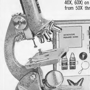 1968