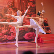 DSC04480