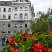 DSC-0606