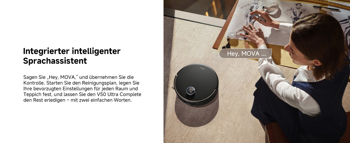 Voice Assistant