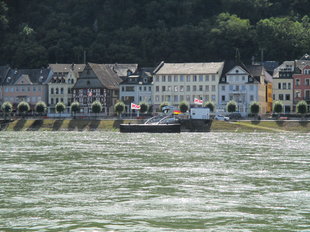 IMG-3564.jpg