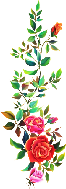 5ec7a48a9e4ce89bbf9c4927ca4d2e0d-1.png