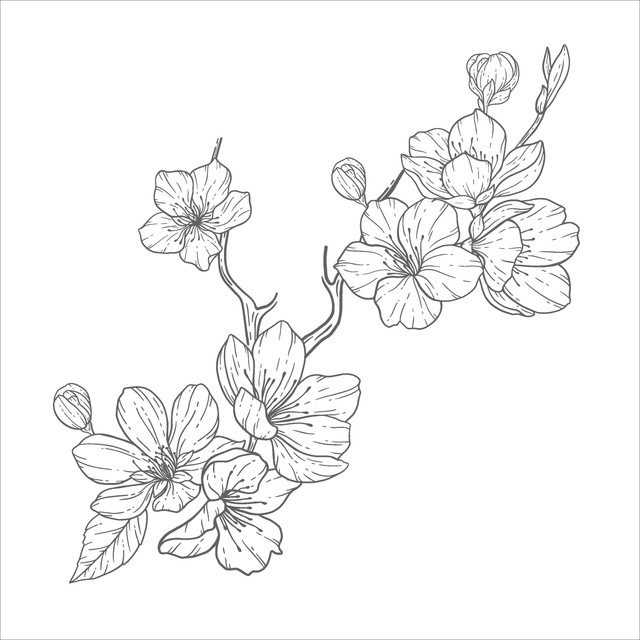 shutterstock 2271726643.jpg