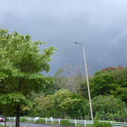 P1340968
