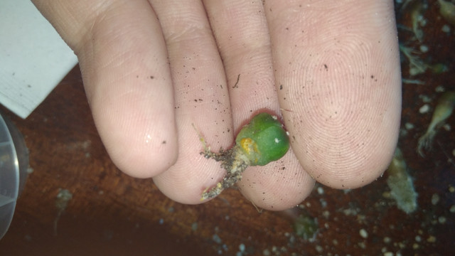 IMG 20180814 161748
