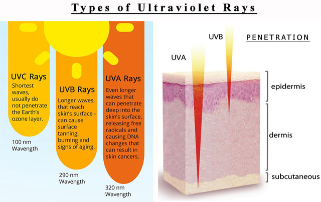 uv1