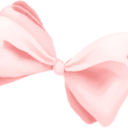 bow10-2