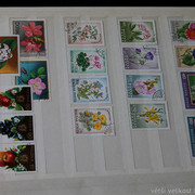 IMG-9596