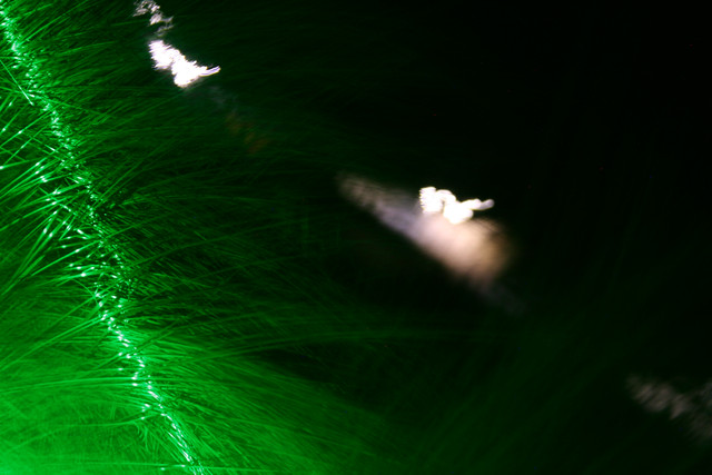IMG-0667