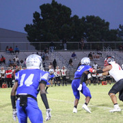 IMG-0461