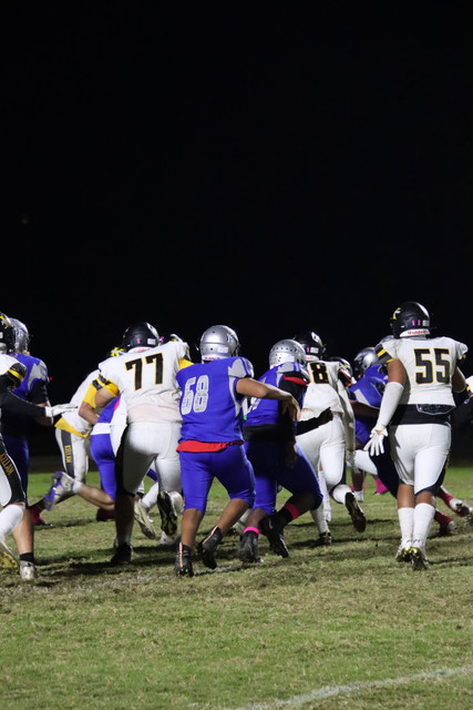 IMG-0018