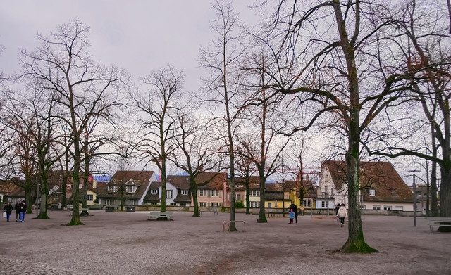 IMGP3745-1