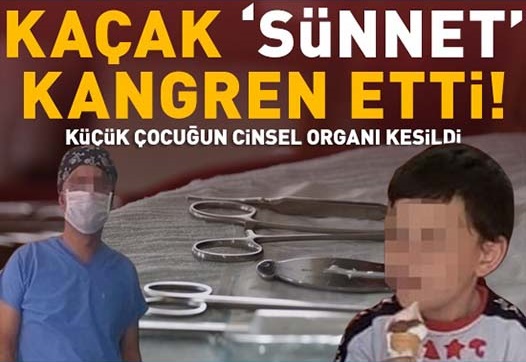 S-nnet.jpg
