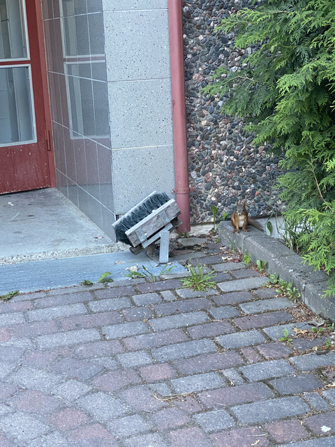 37-EAB7-CF-5781-4-F4-F-8353-630-AC41-AF7