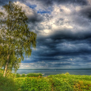 IMG-0428