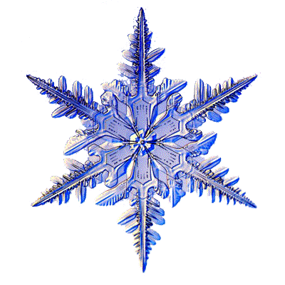 SNOWFLAKE1.gif
