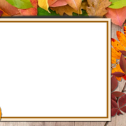 1211