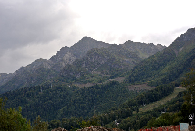 DSC-6956.jpg