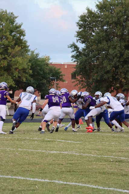 IMG-0192