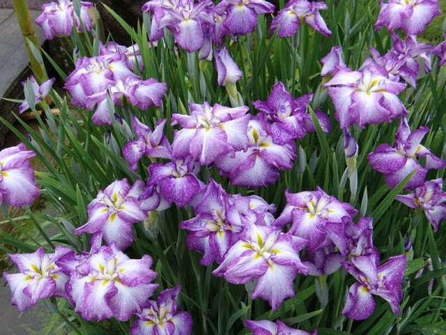 064