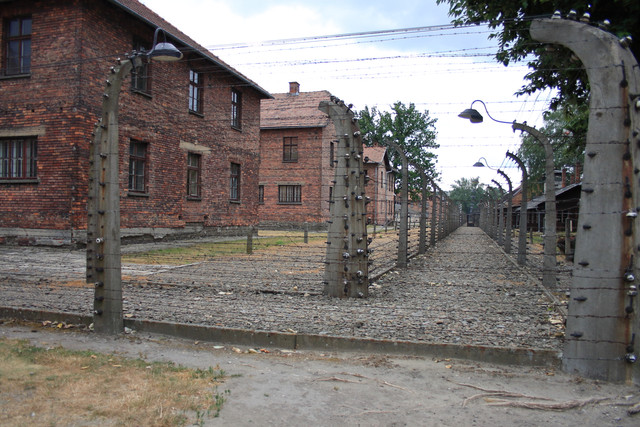 IMG-5861.jpg