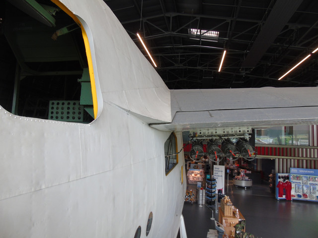 DSC01746.jpg
