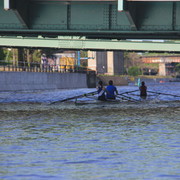 IMG-0452
