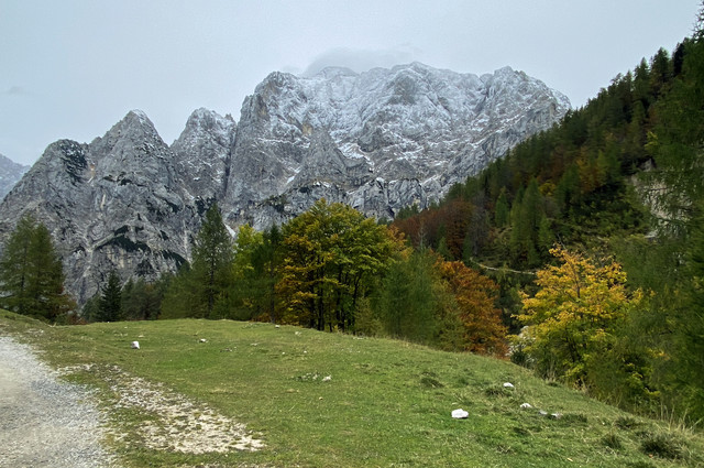 IMG-3203.jpg