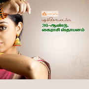 2024 - Commercial Flex Collection - II