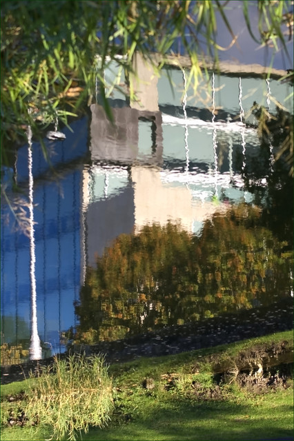 IMGP9109.jpg