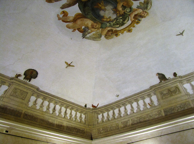 IMG-0418-2