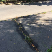 IMG-7469