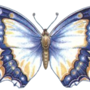 00eddc922a4f