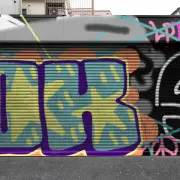 Graffiti artwork by Shel