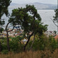 IMG 20260930 105630