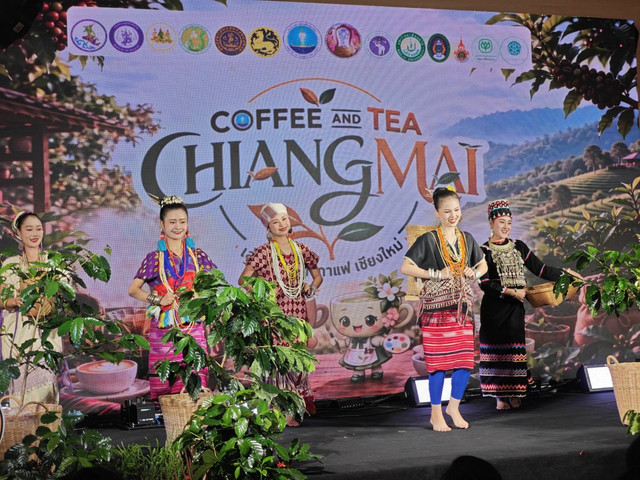 เชียงใหม่เปิดเวที “COFFEE AND TEA CHIANGMAI” เชื่อมชา–กาแฟจากชุมชน สู่ประสบการณ์ท่องเที่ยวเชิงสร้างสรรค์ “จากไร่สู่ถ้วย” รูปที่ 11