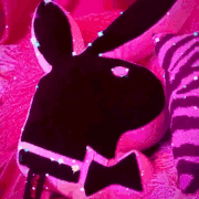 giphy.gif
