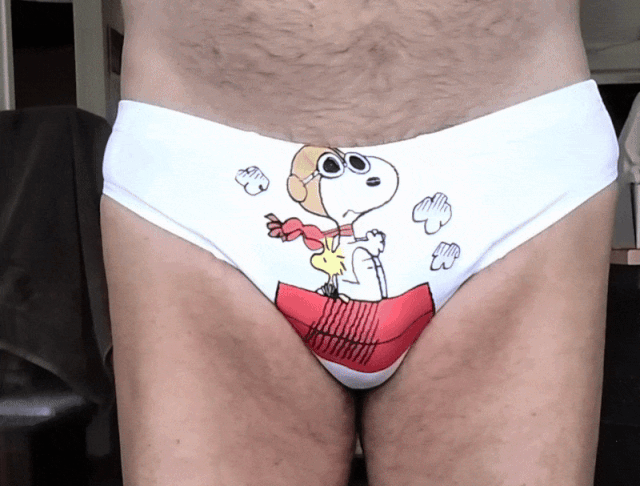 Snoopy 'Red Baron' - all around view