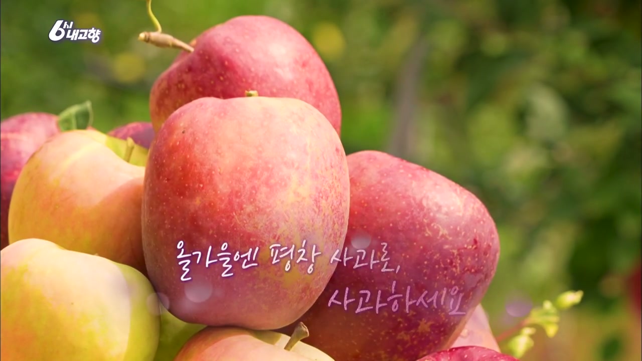 6시내고향 평창 사과 추가 캡처 4