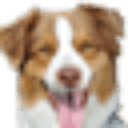 Coastal Pet logo