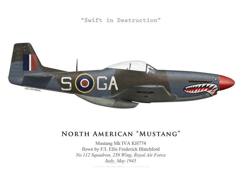 Mustang MKIVA n.° 112 del escuadrón aéreo real