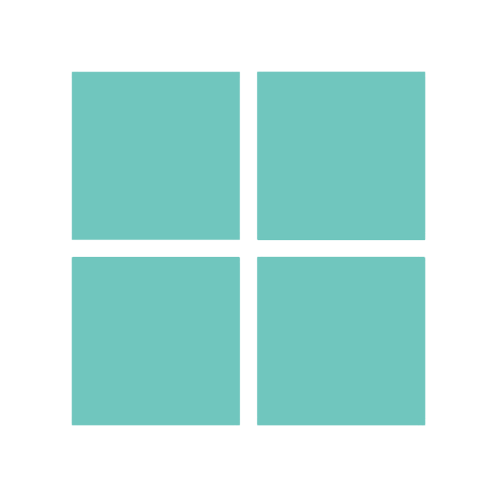Microsoft Partner