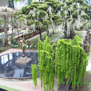 IMGP2757