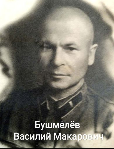https://i.ibb.co/4gP43WLK/image.jpg