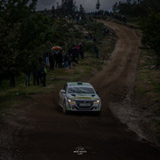 DSC02546