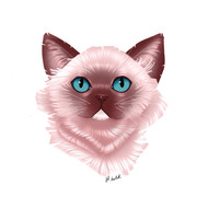 Rosie-3