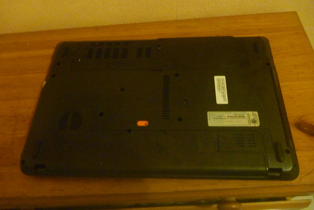 P1060829.jpg