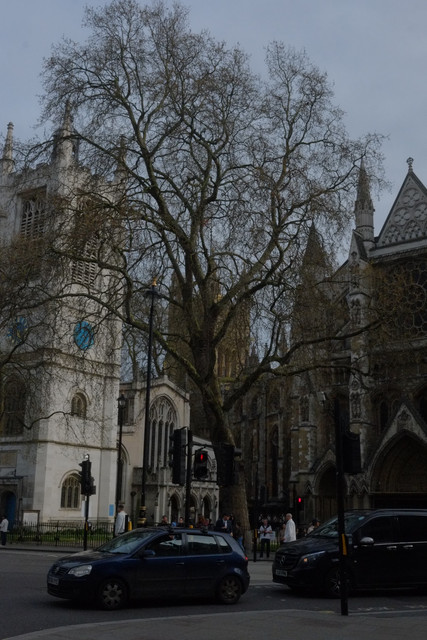DSCF8838.jpg