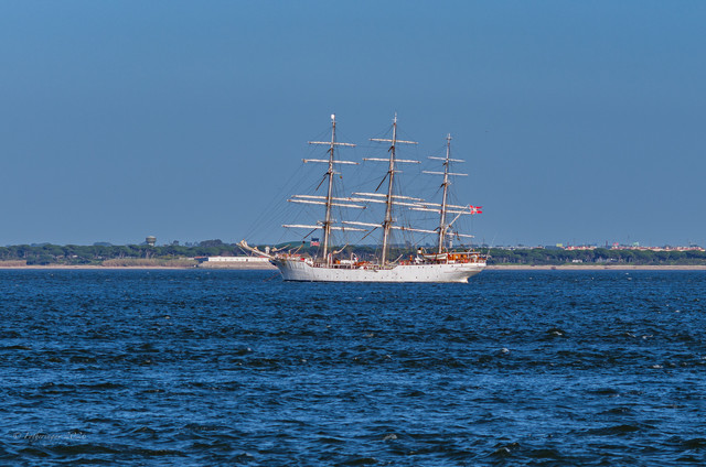 DSF5693 2.jpg