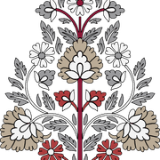 55